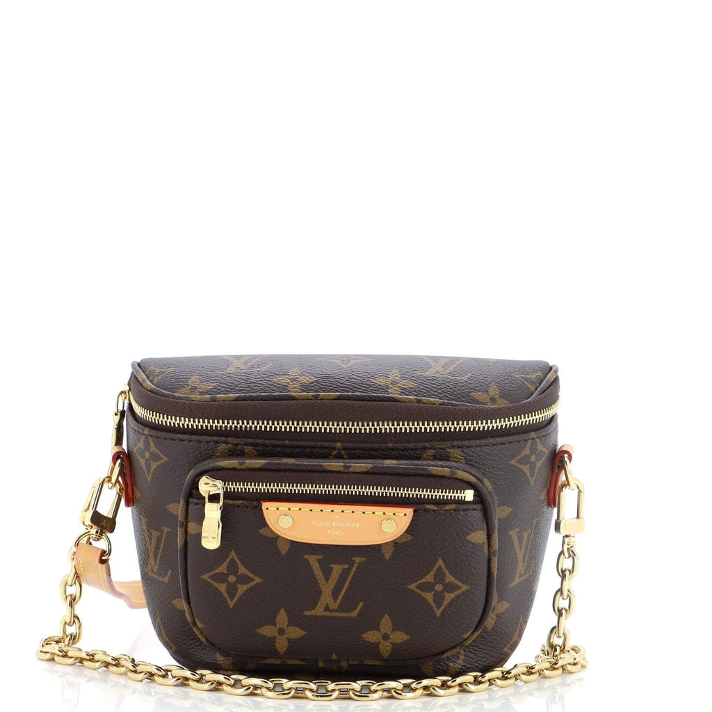 Bum Bag Mini Monogram